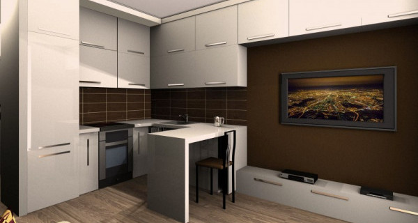 Дом на Доннинском шоссе, 17 (Раменское)