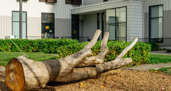 ЖК "Варшавское шоссе 141"