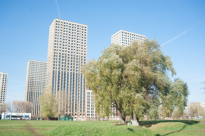 ЖК "Домашний" - фото 6