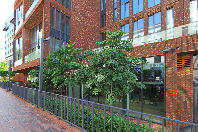 Дом на Бурденко - фото 7