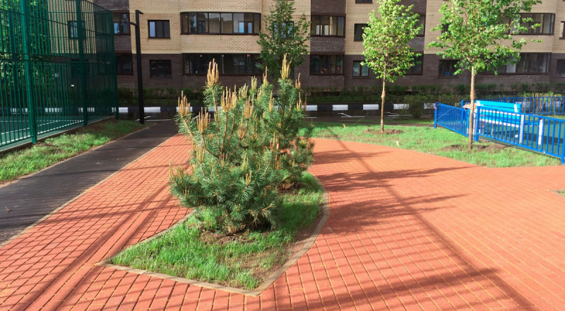 ЖК "Центральный"   - фото 12