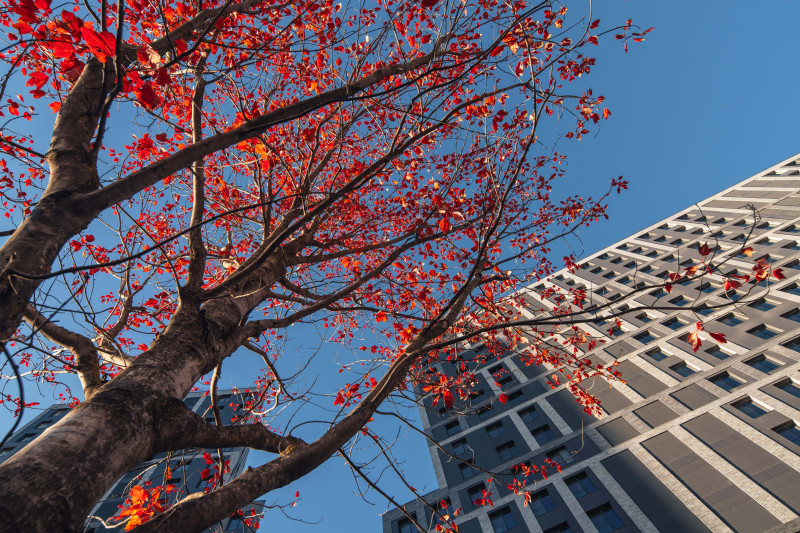 ЖК "Forst" - фото 5