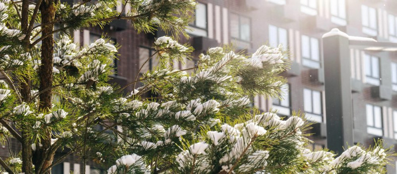 ЖК "Никольские луга" - фото 6