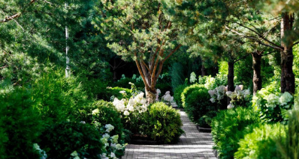 ЖК "Внуково Кантри Клаб"