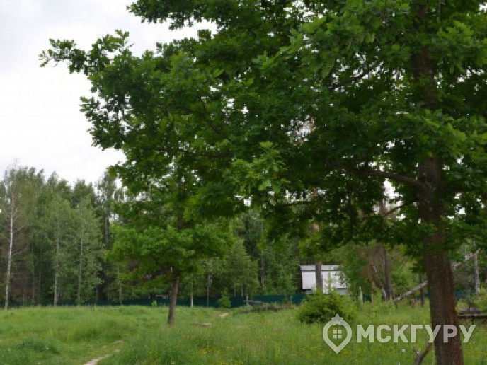 "Опалиха 03" – гармония с природой в 20 минутах от Москвы - Фото 11