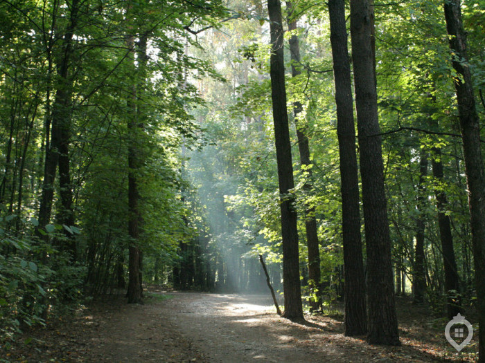 ЖК "Пригород Лесное": город в поле - Фото 61