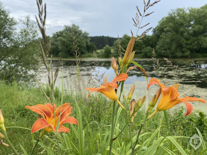 ЖК "Ильинские луга": о жизни в красногорской глубинке - Фото 51