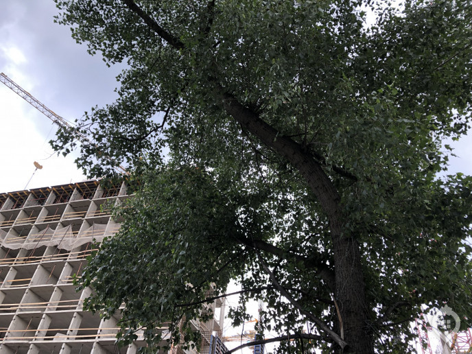 ЖК "Михайловский парк": жизнь после расселения хрущевок - Фото 51