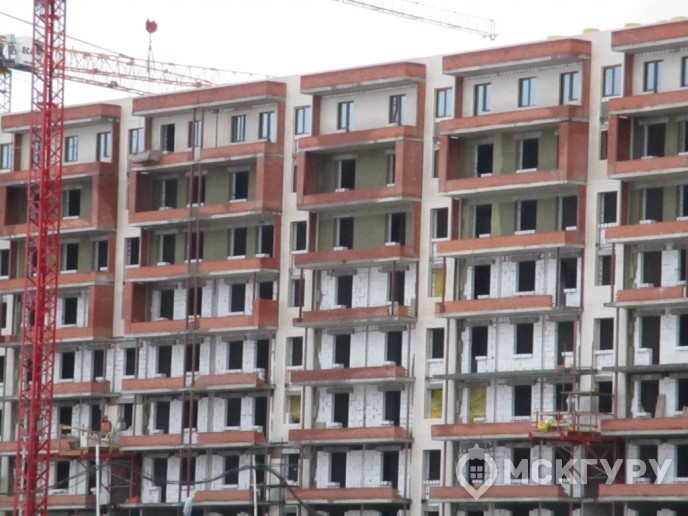 “Пироговская Ривьера”: жизнь у большой воды в ближнем Подмосковье - Фото 34