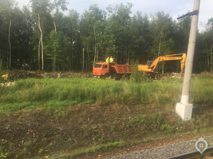 ЖК "Баркли Медовая долина": как не увязнуть в бочке сладких обещаний - Фото 19