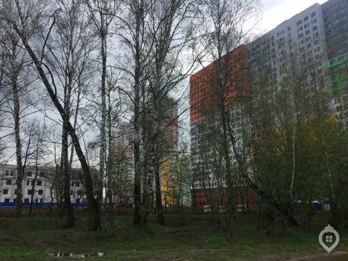 ЖК "Левобережный": остров без сокровищ - Фото 17