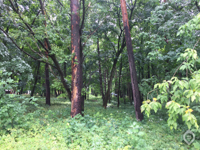 ЖК "Тетрис": головоломка из маленьких кубиков - Фото 65