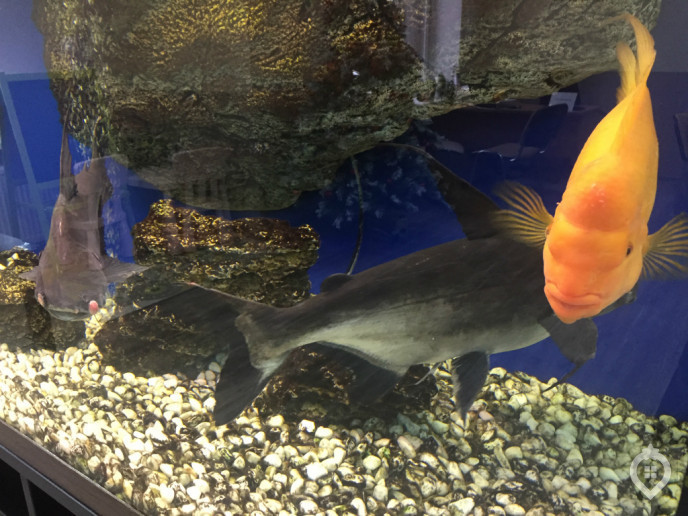 ЖК "Мытищи Lite": облегчённый бизнес-класс - Фото 7