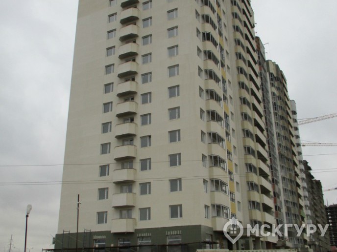 “Город счастья”: комфортная цена в обмен на проблемную экологию и долгую историю строительства - Фото 22