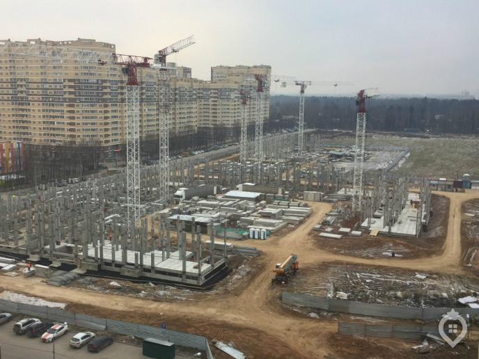 ЖК "Новое Пушкино": 44 дома на лесной опушке - Фото 38