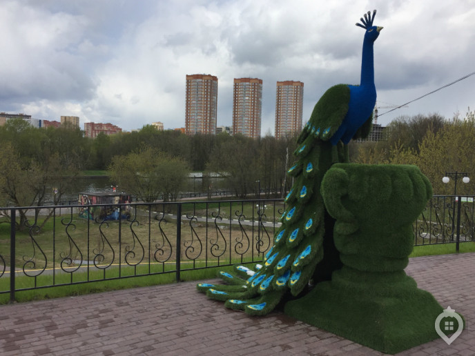 ЖК "Левобережный": остров без сокровищ - Фото 69