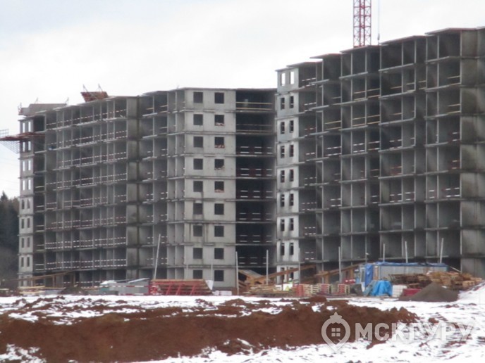 “Пироговская Ривьера”: жизнь у большой воды в ближнем Подмосковье - Фото 33