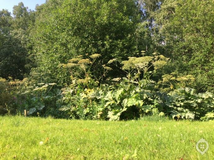 ЖК "Северный": дома средней высотности между Дмитровкой и лесопарком - Фото 28