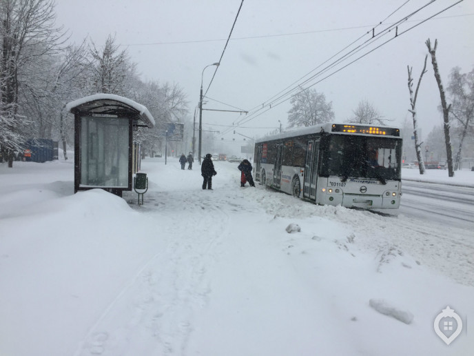ЖК "Летний сад": оранжерея новых квартир - Фото 7