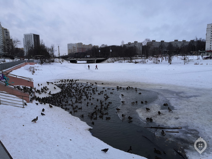 ЖК "Серебро": ювелирная работа между двух магистралей - Фото 49