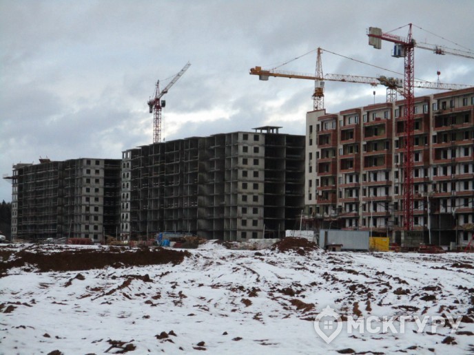 “Пироговская Ривьера”: жизнь у большой воды в ближнем Подмосковье - Фото 35