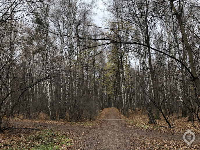 ЖК "Михайлова, 31": свидетель реновации - Фото 63