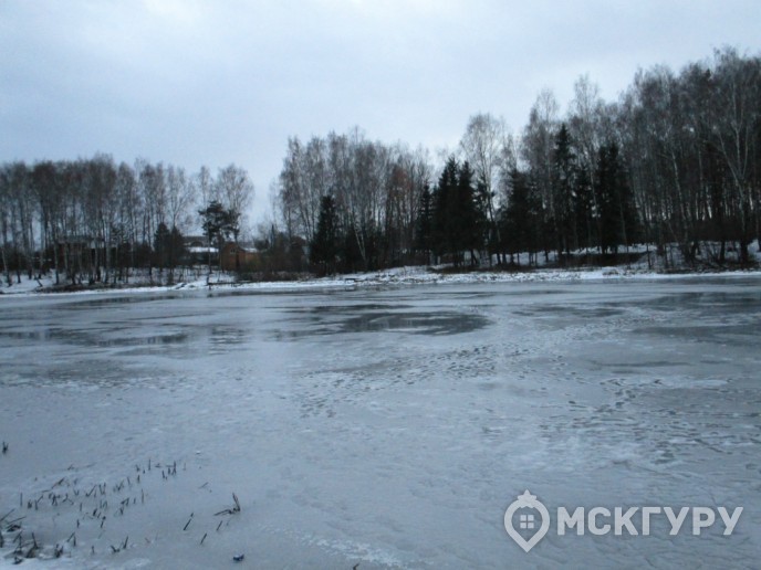 “Пироговская Ривьера”: жизнь у большой воды в ближнем Подмосковье - Фото 15