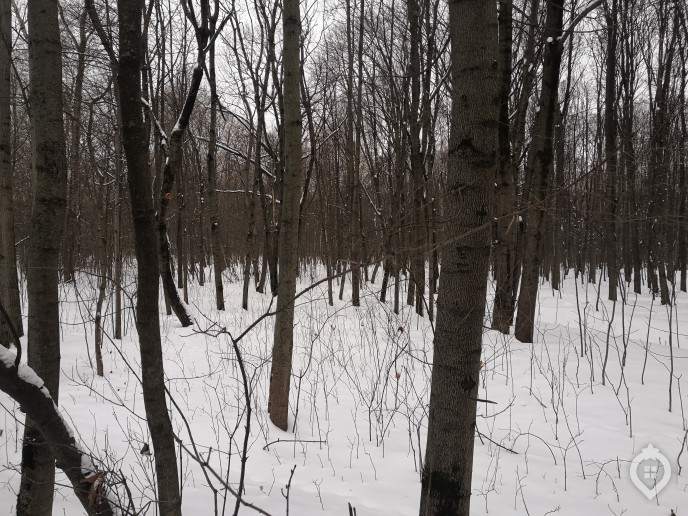 ЖК "Фили сити": в эпицентре перерождения района - Фото 88