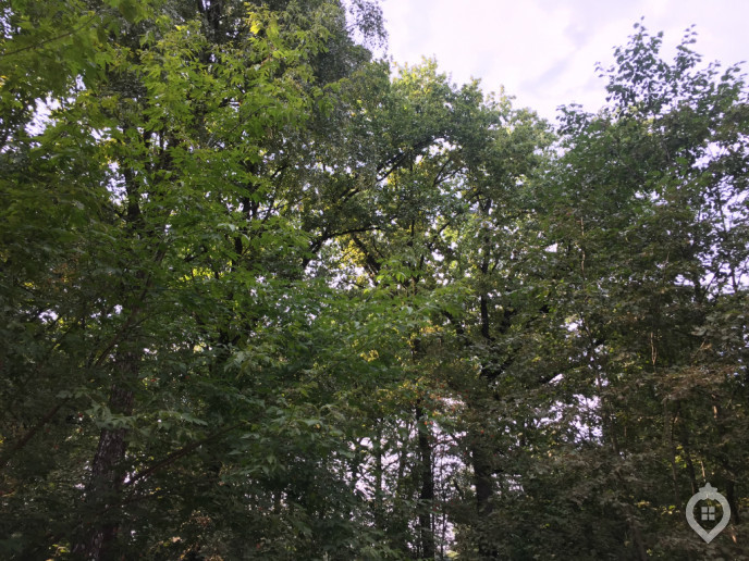 ЖК "Москвичка": столичные амбиции в 5 км от МКАД - Фото 19