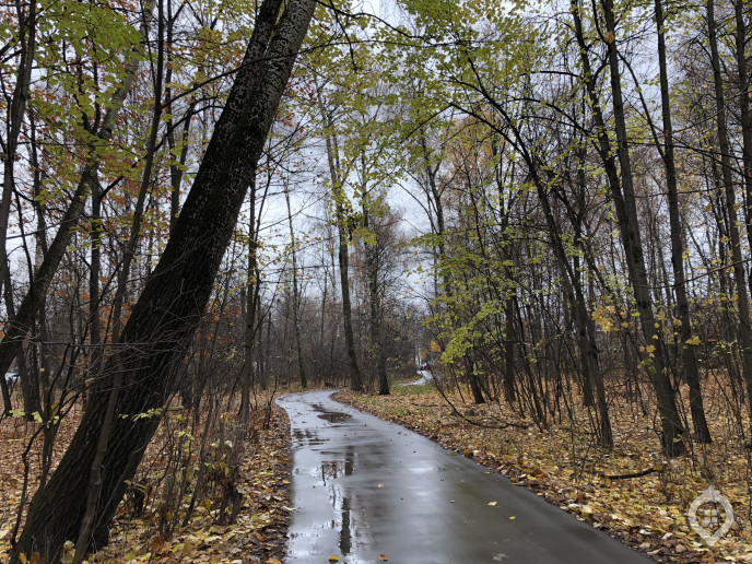 ЖК "Михайлова, 31": свидетель реновации - Фото 66
