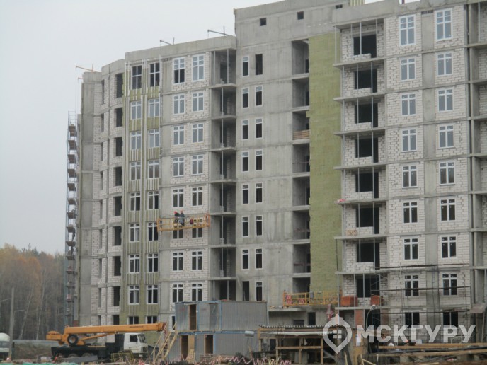"Рассказово" - строительные риски Новой Москвы - Фото 17