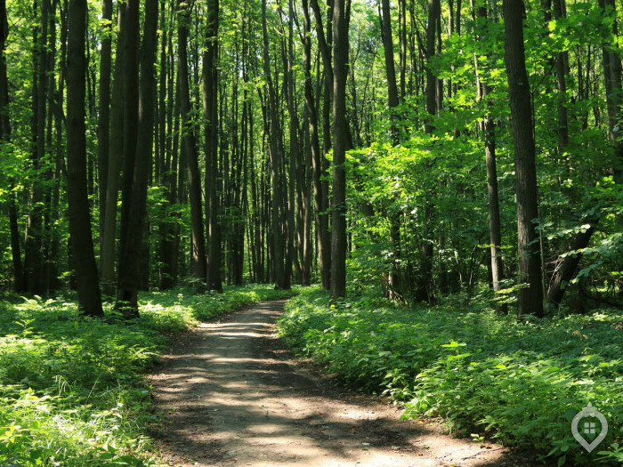 ЖК "Москва А101" - карамельно-шоколадная ириска. А что внутри? - Фото 37