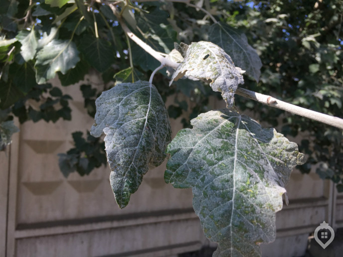 ЖК "Лучи": микрорайон на месте секретного оборонного объекта - Фото 57