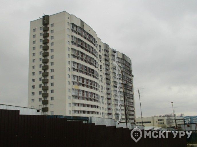 “Город счастья”: комфортная цена в обмен на проблемную экологию и долгую историю строительства - Фото 24