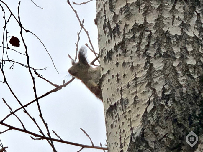 ЖК "Михайлова, 31": свидетель реновации - Фото 64