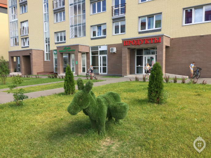 Микрорайон "Красногорский": ухоженный пригород с домами не выше 8 этажей - Фото 18