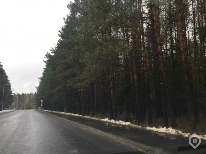 ЖК "Борисоглебское": в плену автомобильной зависимости - Фото 3