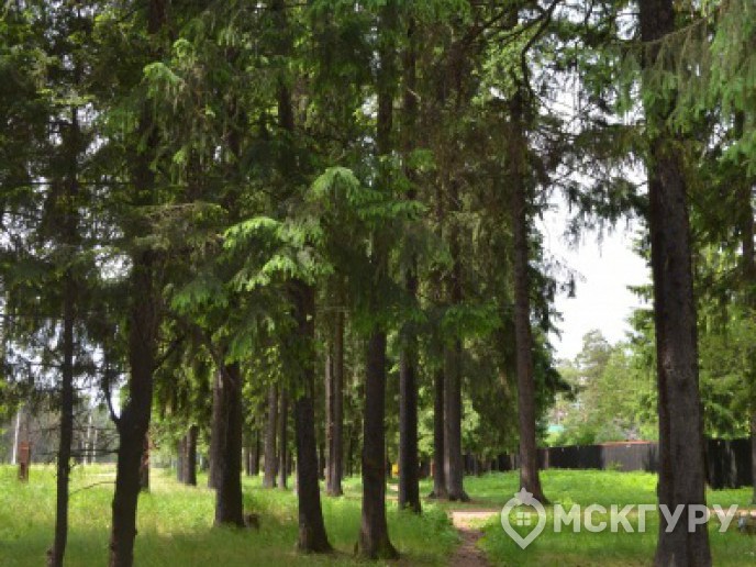"Опалиха 03" – гармония с природой в 20 минутах от Москвы - Фото 12