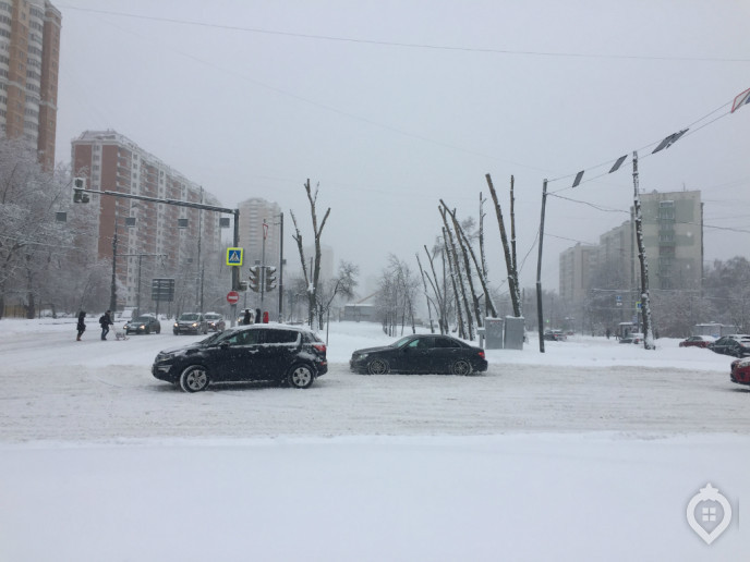 ЖК "Летний сад": оранжерея новых квартир - Фото 9