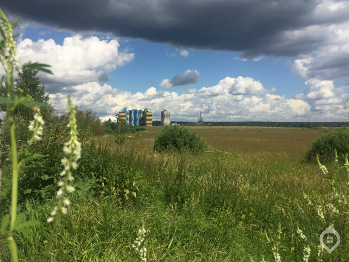 ЖК "Новый Зеленоград": 50 оттенков яркого - Фото 2