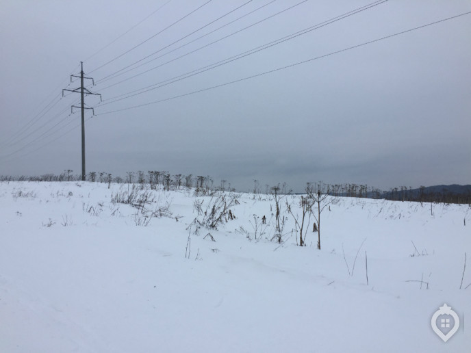 Микрорайон "Пятиречье": с деревенским колоритом - Фото 34