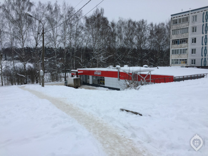 Микрорайон "Пятиречье": с деревенским колоритом - Фото 70