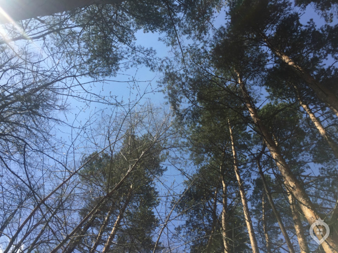 ЖК "Новокрасково": 3500 квартир у Люберецких карьеров - Фото 92