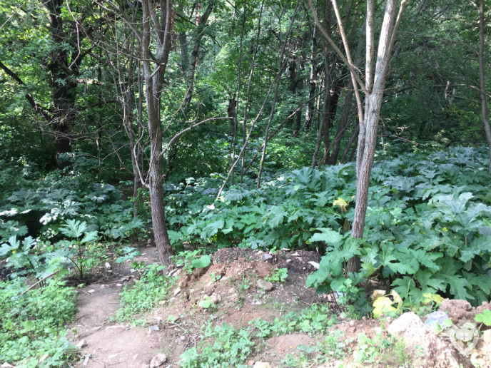 ЖК "Северный": дома средней высотности между Дмитровкой и лесопарком - Фото 29