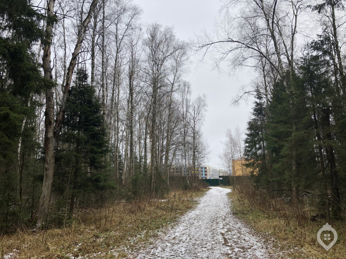 ЖК "Новогорск парк": дружный лесной городок - Фото 58