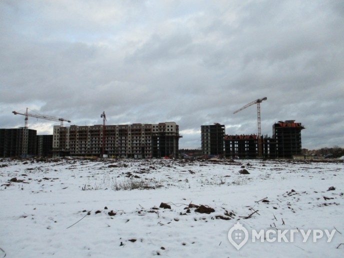 “Пироговская Ривьера”: жизнь у большой воды в ближнем Подмосковье - Фото 32