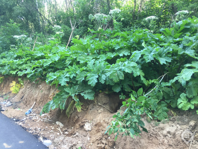 ЖК "Афродита-2": дома средней этажности от неторопливого застройщика - Фото 76