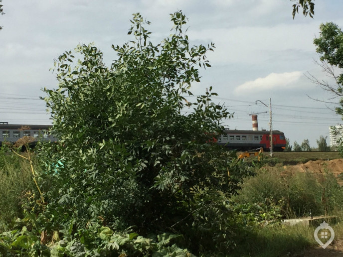 ЖК "Поколение": в паутине транспортной доступности - Фото 74