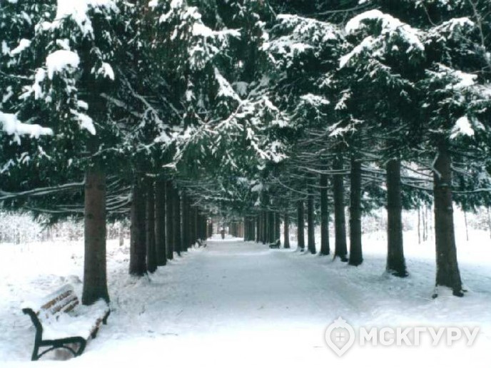  “Царицыно 2”: цены снижаются, сроки сдачи затягиваются - Фото 14