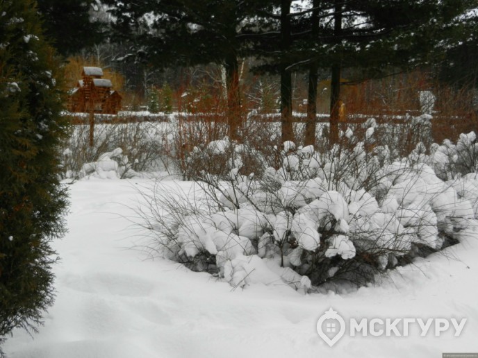  “Царицыно 2”: цены снижаются, сроки сдачи затягиваются - Фото 16